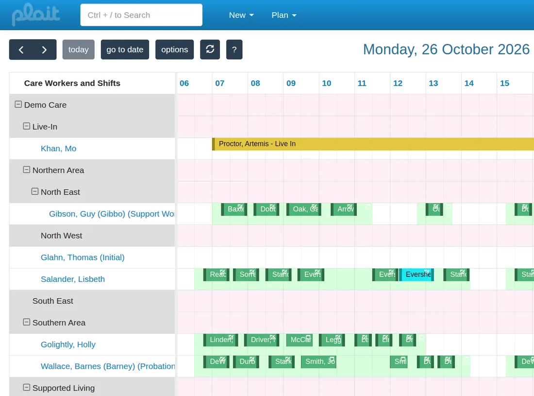 The Plait rota for one day, showing care workers grouped by area with their visits laid out across the day